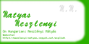 matyas meszlenyi business card